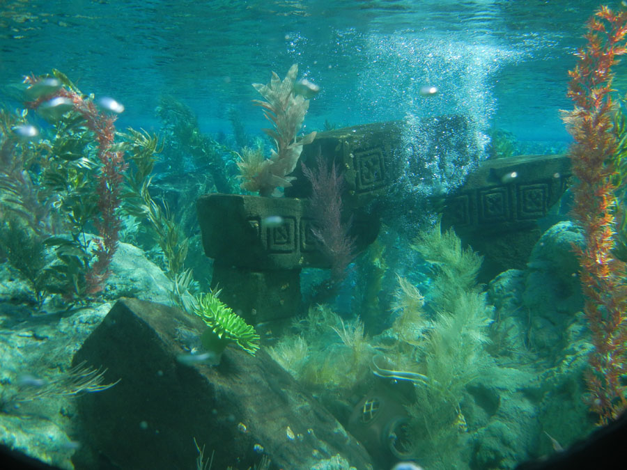 Disneyland Tomorrowland Submarine Picture